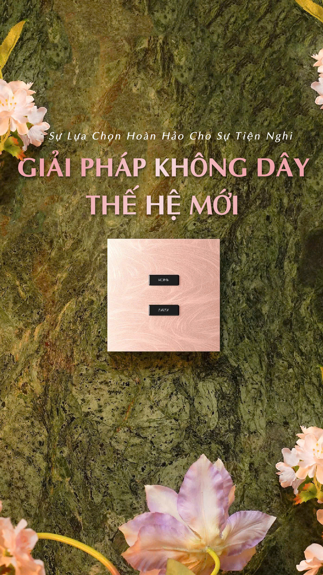 Giải pháp không dây Mobilife