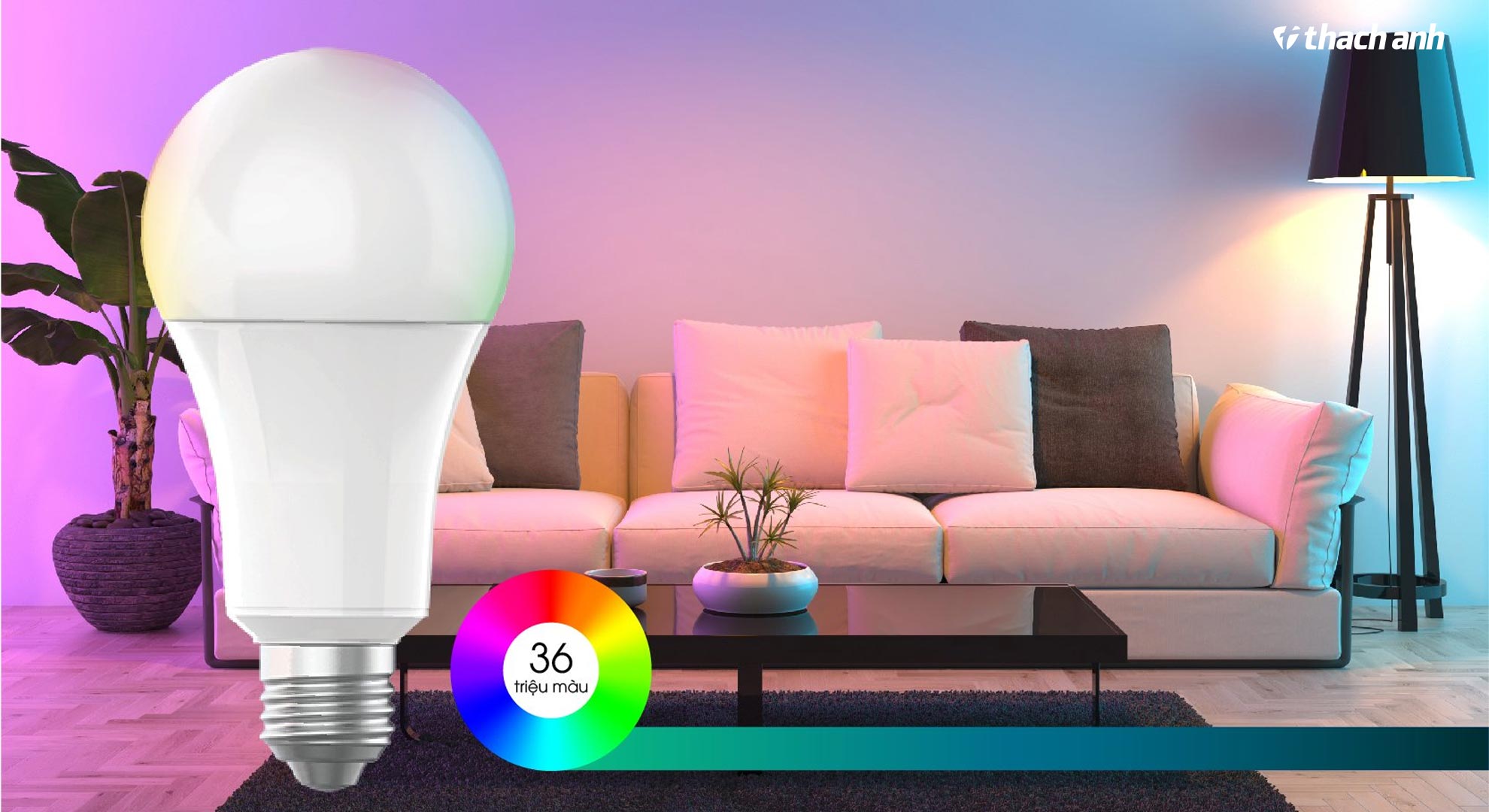 Thiết bị chiếu sáng và tiện ích gia dụng